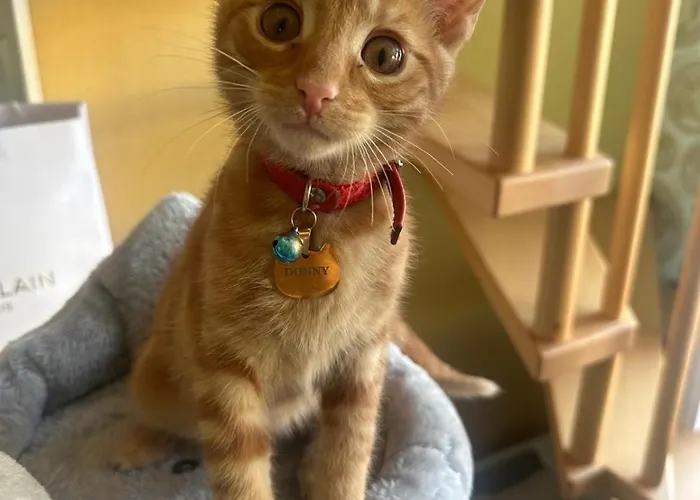 Don Giovanni Leipzig